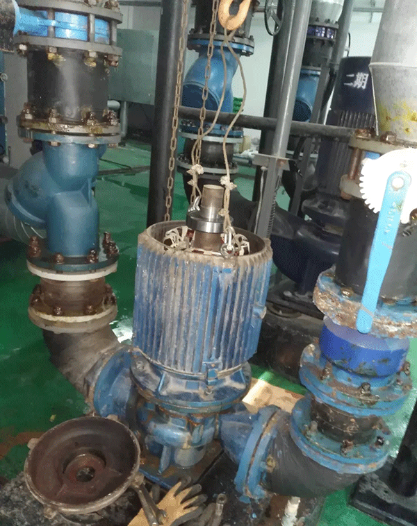 電機如何適應變頻起動新技術——西安泰富西瑪電機(西安西瑪電機集團股份有限公司)官方網(wǎng)站 電機如何適應變頻起動新技術——西安泰富西瑪電機(西安西瑪電機集團股份有限公司)官方網(wǎng)站